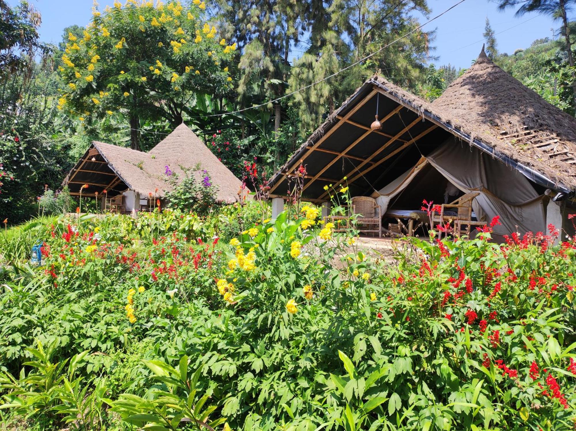 Inzu Lodge Gisenyi Eksteriør bilde
